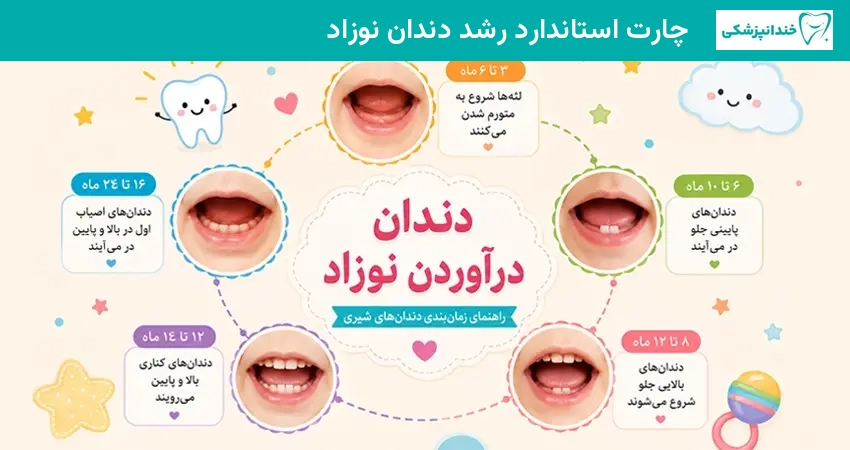 چارت استاندارد رشد دندان کودک