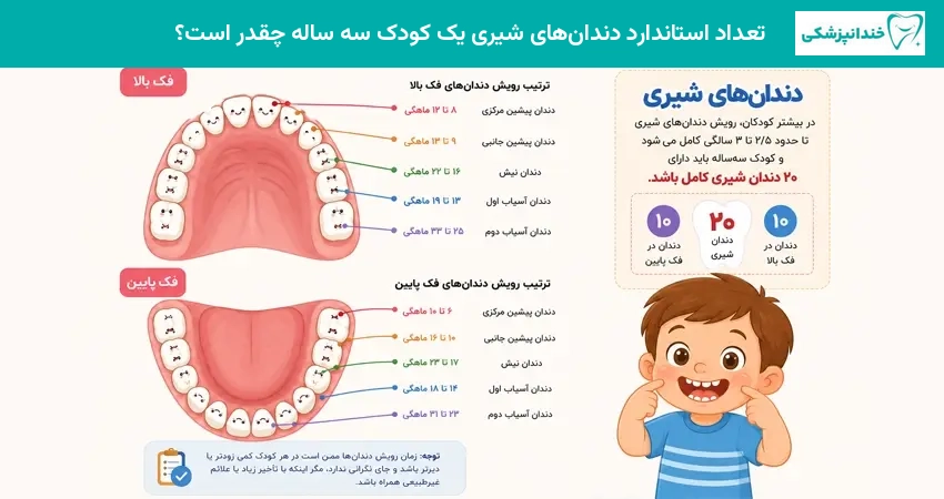 تعداد استاندارد دندانهای شیری یک کودک سه ساله چقدر است؟