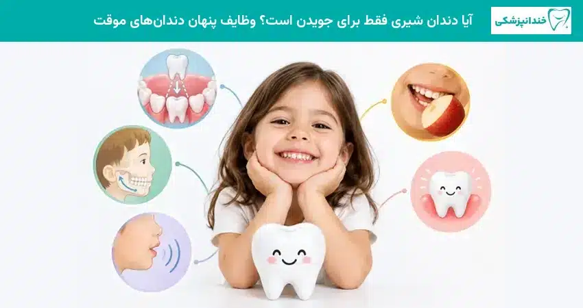 آیا دندان شیری فقط برای جویدن است؟ وظایف پنهان دندانهای موقت